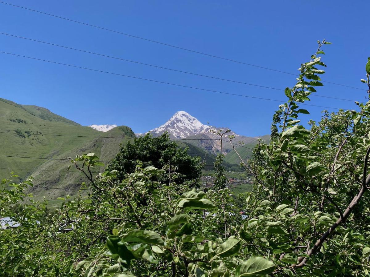 Geo Inn Kazbegi Extérieur photo